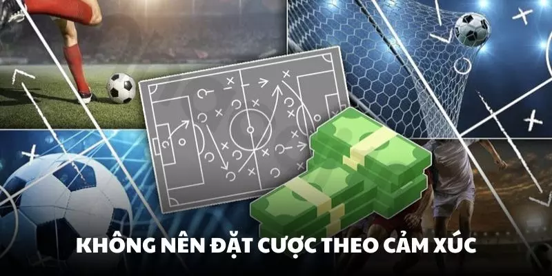 Không nên đặt cược theo cảm xúc