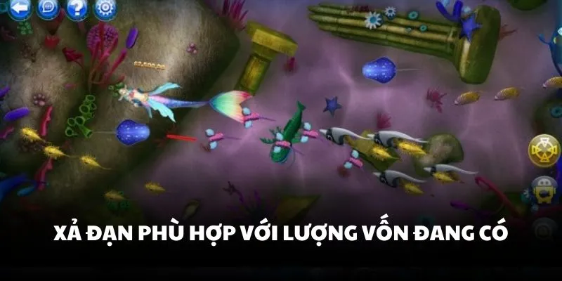 Xả đạn phù hợp với lượng vốn đang có